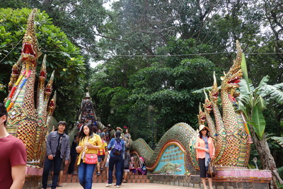 private tour doi suthep