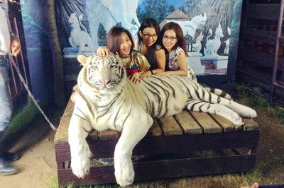 private tour chiang mai night safari