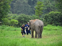 chiang rai tour, chiang rai private tour, tour from chiang mai to chiang rai, package tours chiang rai, package tour chiang mai and chiang rai