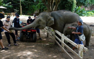chiang mai atv, atv tour chiang mai, chiang mai atv adventure, chiang mai atv tour, atv chiang mai, atv adventure chiang mai
