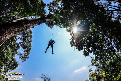 skyline adventure, skyline jungle luge