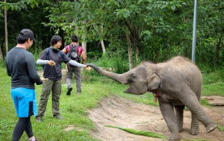 trekking maewang, chiang mai trekking maewang, chiang mai trekking, trekking in chiang mai