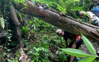2 days chiangmai trek, chiang mai trekking maewang, chiang mai trekking, trekking in chiang mai