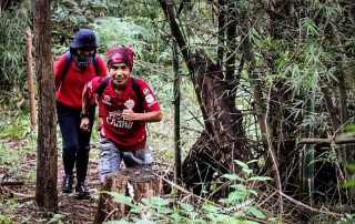 2 days chiangmai trek, chiang mai trekking maewang, chiang mai trekking, trekking in chiang mai