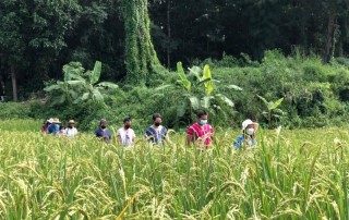 2 days chiangmai trek, chiang mai trekking maewang, chiang mai trekking, trekking in chiang mai