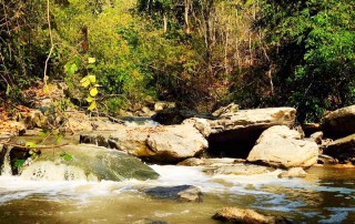 2 days chiangmai trek, chiang mai trekking maewang, chiang mai trekking, trekking in chiang mai