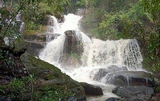 2 days chiang mai trek maewin area, chiang mai trekking maewang, chiang mai trekking, trekking in chiang mai