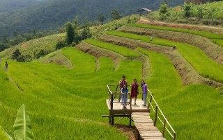 2 days chiangmai trek, chiang mai trekking maewang, chiang mai trekking, trekking in chiang mai