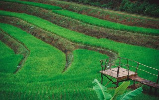 2 days chiangmai trek, chiang mai trekking maewang, chiang mai trekking, trekking in chiang mai
