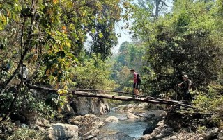 2 days chiang mai trek maewin area, chiang mai trekking maewang, chiang mai trekking, trekking in chiang mai