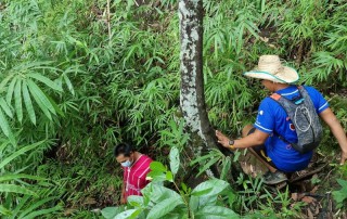 2 days chiang mai trek maewin area, chiang mai trekking maewang, chiang mai trekking, trekking in chiang mai