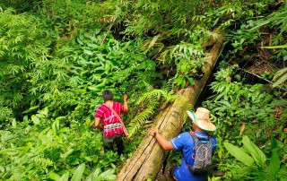 2 days chiang mai trek maewin area, chiang mai trekking maewang, chiang mai trekking, trekking in chiang mai