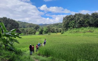 2 days chiang mai trek maewin area, chiang mai trekking maewang, chiang mai trekking, trekking in chiang mai
