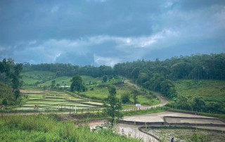 2 days chiang mai trek maewin area, chiang mai trekking maewang, chiang mai trekking, trekking in chiang mai