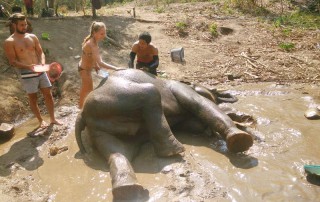 2 days chiangmai trek, 2 days chiang mai trek maewin area, mae wang elephant camp, elephant care mae wang