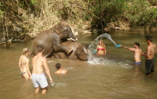 2 days chiangmai trek, 2 days chiang mai trek maewin area, mae wang elephant camp, elephant care mae wang