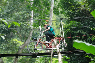 flying squirrels zipline