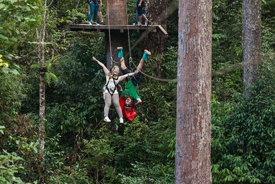 jungle flight chiang mai