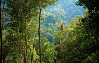 kingkong smile zipline, kingkong smile zipline chiang mai, kingkong zipline chiang mai, zipline chiang mai, longest zipline in chiang mai