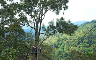 kingkong smile zipline, kingkong smile zipline chiang mai, kingkong zipline chiang mai, zipline chiang mai, longest zipline in chiang mai