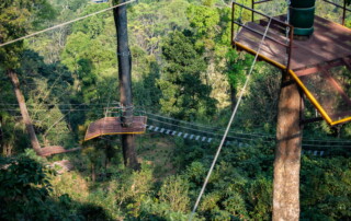 kingkong smile zipline, kingkong smile zipline chiang mai, kingkong zipline chiang mai, zipline chiang mai, longest zipline in chiang mai