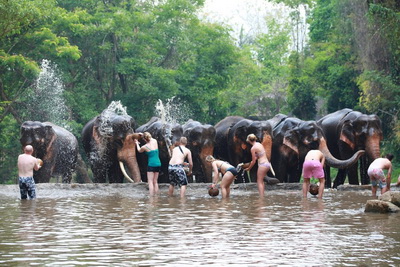 patara elephant farm