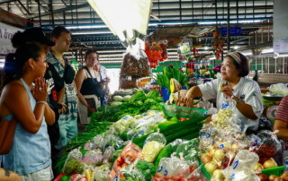 the rice barn thai cooking farm, the rice barn thai cooking farm chiang mai, cooking schools in chiang mai, chiang mai cooking schools