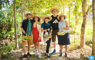 the rice barn thai cooking farm, the rice barn thai cooking farm chiang mai, cooking schools in chiang mai, chiang mai cooking schools