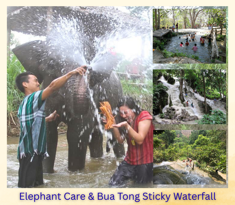 mae rim elephant care and bua tong waterfall