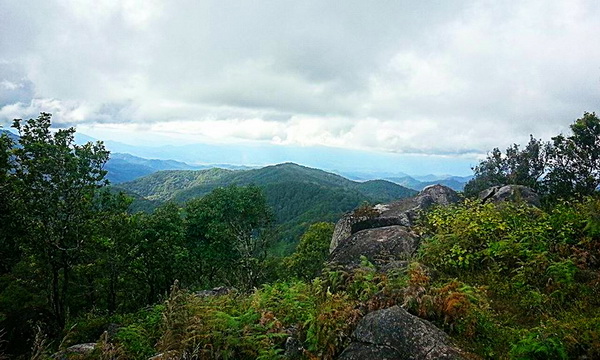 pha daeng national park, pha daeng, national parks in northern Thailand, national parks in chiang mai