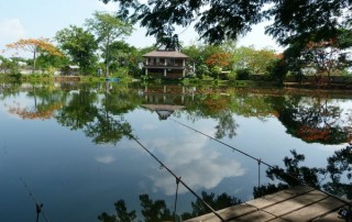chiang mai fishing, chiang mai fishing park, fishing park in chiang mai