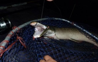 chiang mai fishing, chiang mai fishing park, fishing park in chiang mai