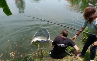 chiang mai fishing, chiang mai fishing park, fishing park in chiang mai