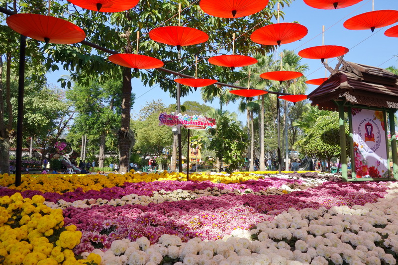 nong buakhad, nong buakhad park, nongbuakhad, nongbuakhad park