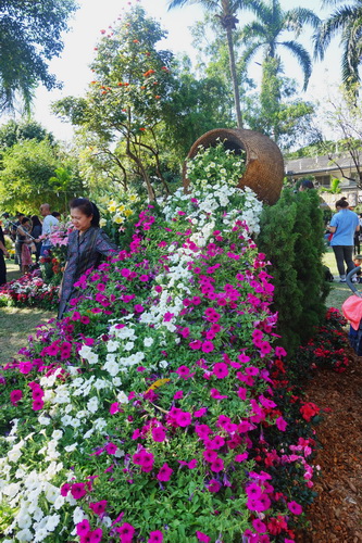 nong buakhad, nong buakhad park, nongbuakhad, nongbuakhad park