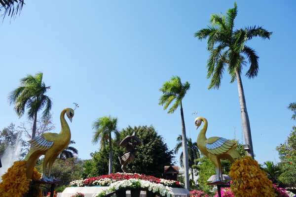 nong buakhad, nong buakhad park, nongbuakhad, nongbuakhad park