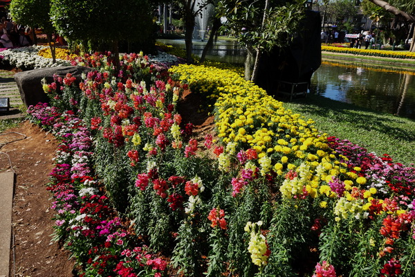 nong buakhad, nong buakhad park, nongbuakhad, nongbuakhad park