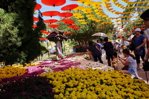 nong buakhad, nong buakhad park, nongbuakhad, nongbuakhad park