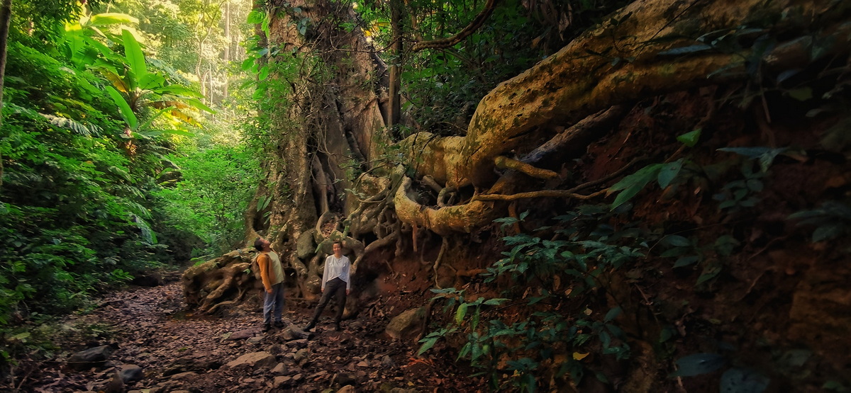 doi luang chiang dao, doi luang chiangdao, doi chiang dao, doi luang chiang dao forest park, doi chiang dao forest park, chiang dao wildlife sanctuary, doi luang chiang dao trek, doi luang chiangdao trek, doi chiang dao trek