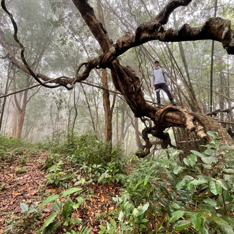 doi luang chiang dao, doi chiang dao, doi luang chiang dao trek