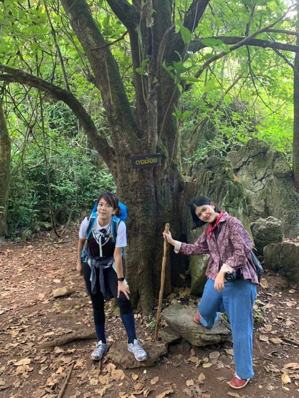 doi luang chiang dao, doi chiang dao, doi luang chiang dao trek