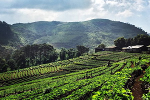 doi ang khang, ang khang