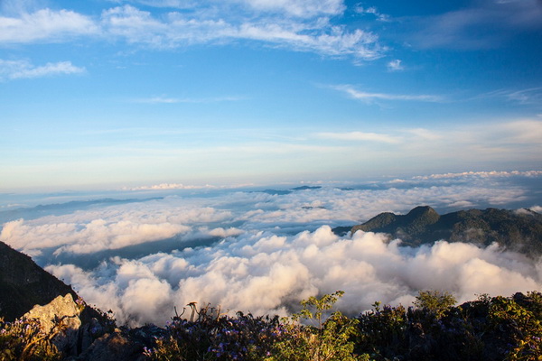 doi luang chiang dao, doi chiang dao, doi luang chiang dao trek