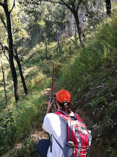 doi luang chiang dao, doi chiang dao, doi luang chiang dao trek