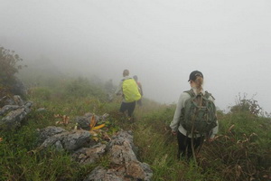 doi luang chiang dao, doi chiang dao, doi luang chiang dao trek