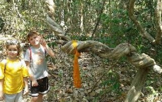 hiking at doi suthep, doi suthep hiking, trekking at doi suthep, wat pa lad hiking