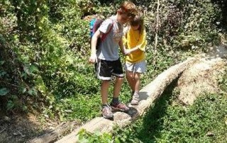 hiking at doi suthep, doi suthep hiking, trekking at doi suthep, wat pa lad hiking