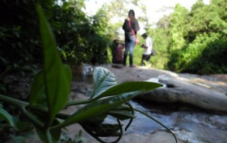 hiking at doi suthep, doi suthep hiking, trekking at doi suthep, wat pa lad hiking