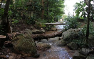 hiking at doi suthep, doi suthep hiking, trekking at doi suthep, wat pa lad hiking