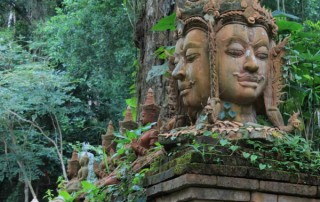 doi suthep trek, doi suthep trek, trekking in doi suthep, trekking in doi suthep-pui national park, wat pha lat, wat pa lad